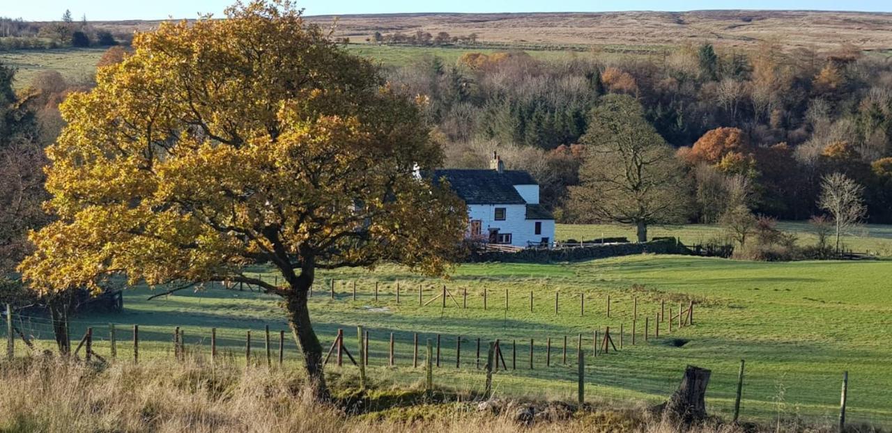 Lower Turnerford Farmhouse Newby  外观 照片